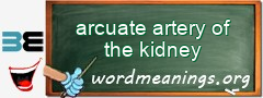 WordMeaning blackboard for arcuate artery of the kidney